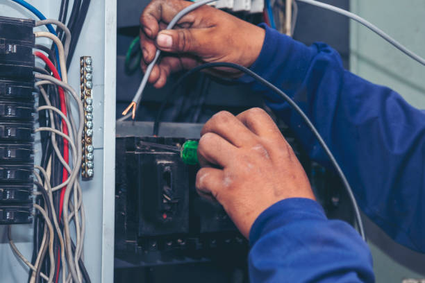 Best Licensed Electrician  in Bradfordville, FL